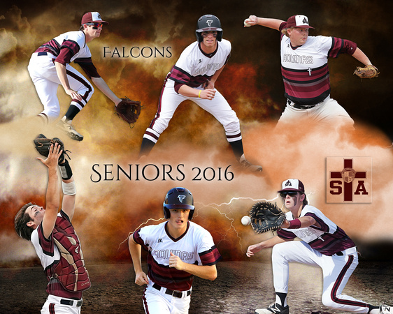 Seniors-Baseball-20x16
