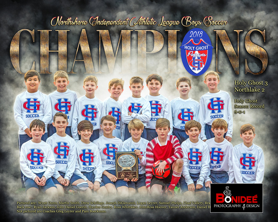 000-NIAL-Champs-Poster-20x16