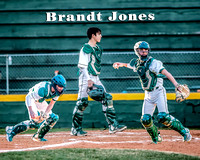 12-Brandt-Jones