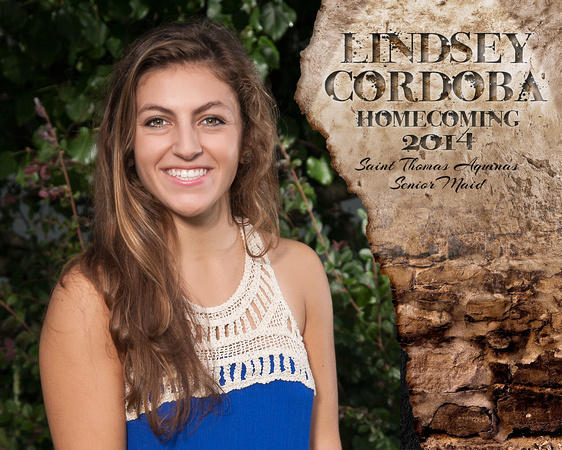 Lindsey-Cordoba-Art