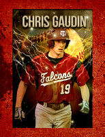 Baseball-Gaudin-10x13